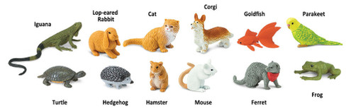 Safari Ltd. Toy Figure - Pets Toob- Contents Picture