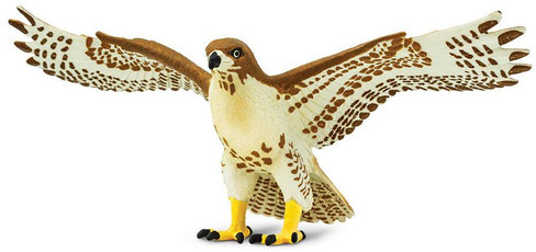 Safari Ltd. Red Tailed Hawk - Front View