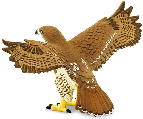 Safari Ltd. Red Tailed Hawk - Rear Angle View