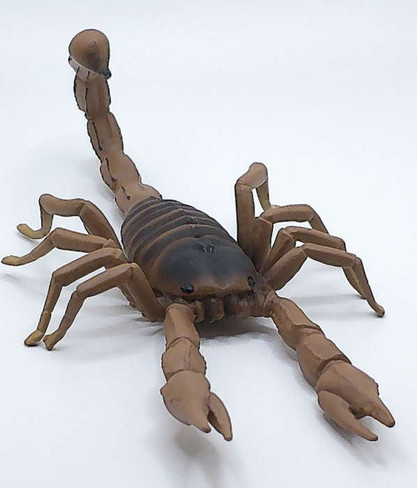 Safari Ltd. Scorpion Figure - Front Angle View