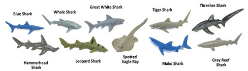 Safari Ltd. Toy Figure - Sharks Toob- Contents Picture