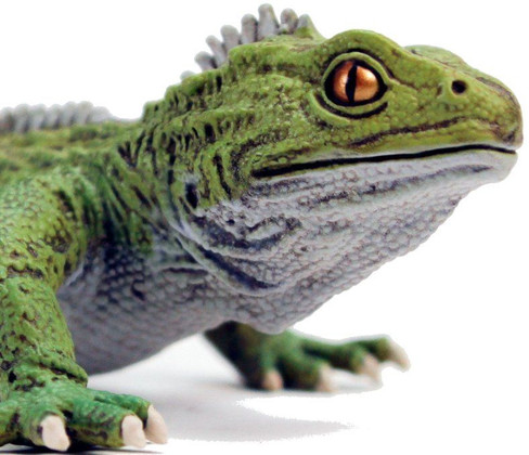 Safari Ltd. Tuatara Figure - Close Up Front Face View