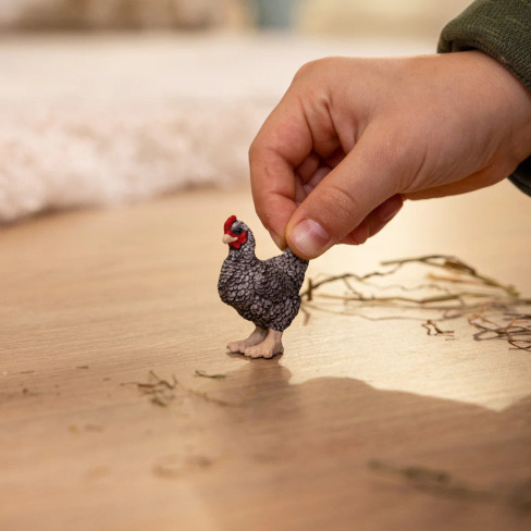 Schleich - Plymouth Rock Chicken #13997 - Playtime Image