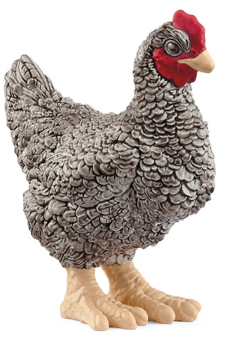 Schleich - Plymouth Rock Chicken #13997 - Manufacturer Image Side View