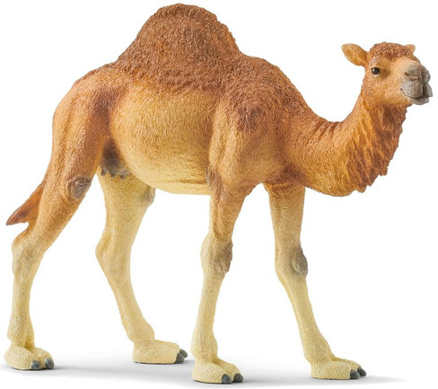 Schleich Dromedary Camel - Manufacturer Picture