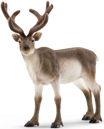 Schleich Toy Wildlife Figure - Caribou - Reindeer
