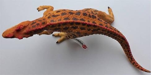 Schleich Ceratosaurus - Top View