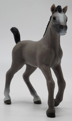 Schleich Cheval de Selle Francais Foal - Front Angle View