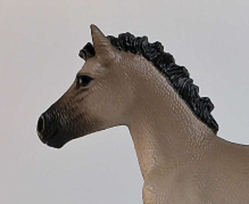 Schleich Criollo Definitivo Foal - Close Up Head View