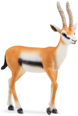 Schleich Thomson Gazelle Antelope - Manufacturer Picture