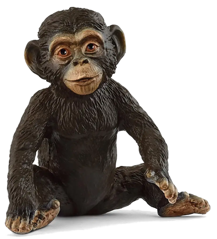 Schleich Chimpanzee cub #14884 manufacturer image front