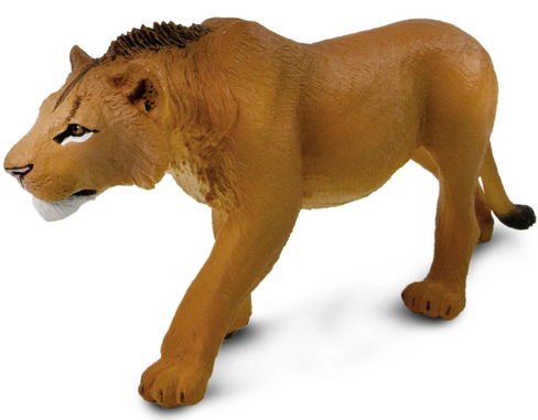 Safari Ltd. Toy Figure - Adolescent Male Lion #104992 manufacturer main image