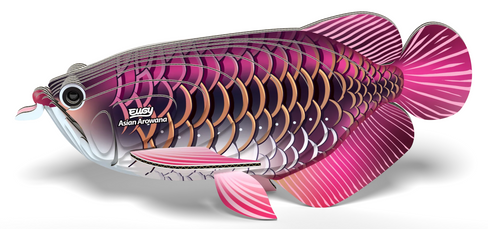 EUGY Asian Arowana 3D Puzzle #118 - Manufacturer main image
