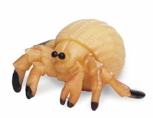 Safari Ltd. - Hermit Crab Good luck Mini #342822 hero image