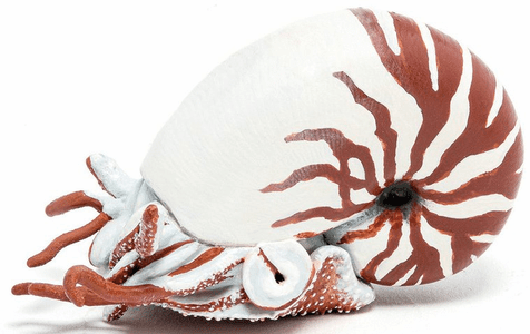 Papo Nautilus Prehistoric Figure - Front Angle View