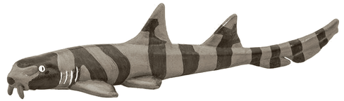 Safari Ltd. Bamboo Shark Figure